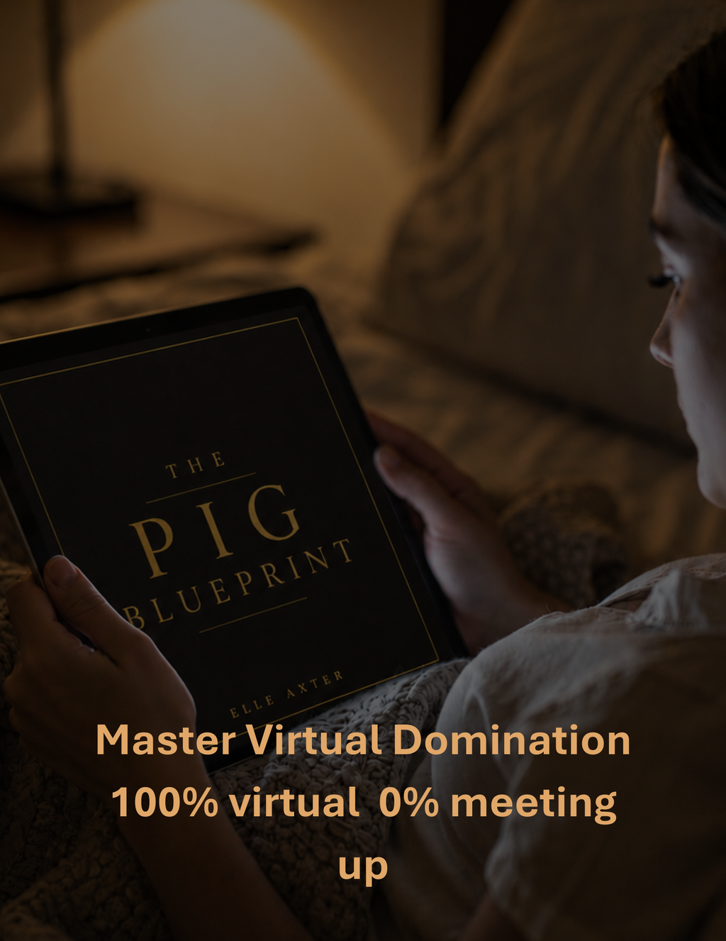 The Pig Blueprint