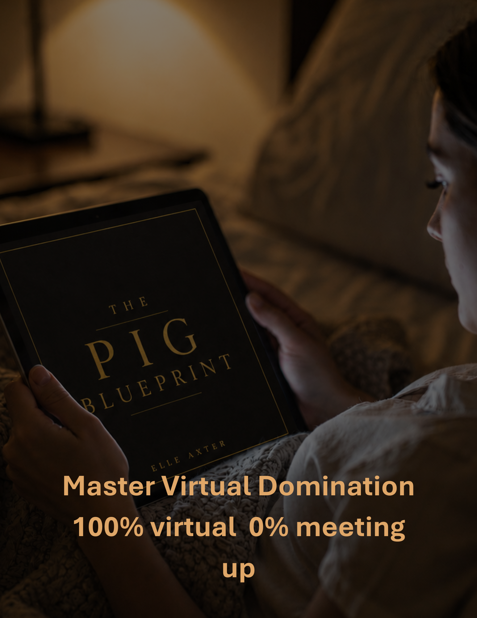 The Pig Blueprint